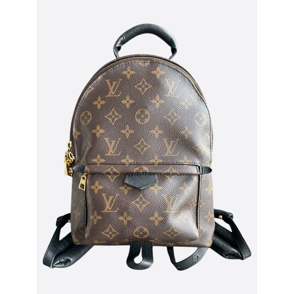 Louis Vuitton Brown Monogram Palm Springs Mini Backpack